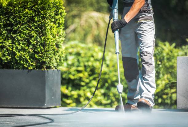 Best Animal Enclosure Cleaning  in Wmette, IL
