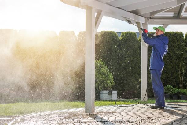 Best Dumpster Area Cleaning  in Wmette, IL